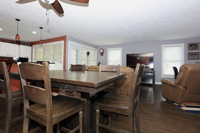 113 Davis Dr, Brooklyn, MI 49230 - dining room featuring dark wood-style flooring, plenty of natural light, ceiling fan, recessed lighting, and a textured ceiling