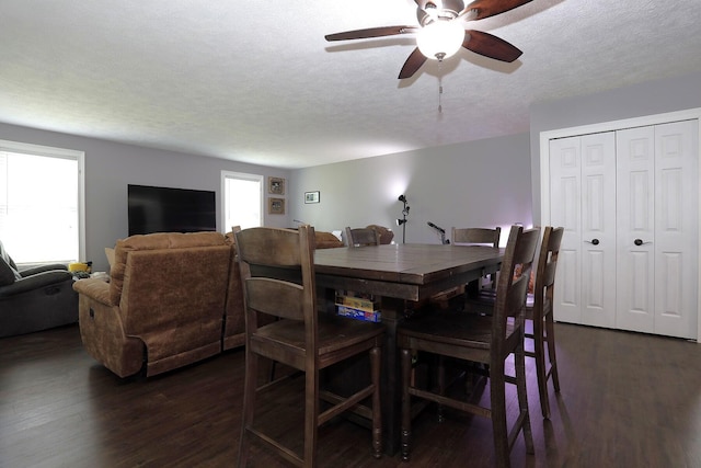 113 Davis Dr, Brooklyn, MI 49230 - dining area featuring dark wood-style floors, a textured ceiling, and a ceiling fan