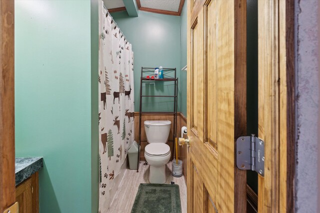 9168 Clewley Rd, Lachine, MI 49753 - full bath with toilet, vanity, wood finished floors, and a shower with shower curtain
