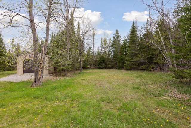 9168 Clewley Rd, Lachine, MI 49753 - view of yard