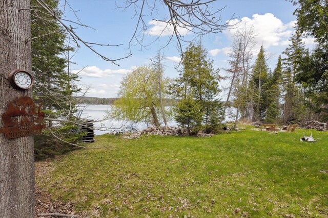 9168 Clewley Rd, Lachine, MI 49753 - view of green lawn with a water view
