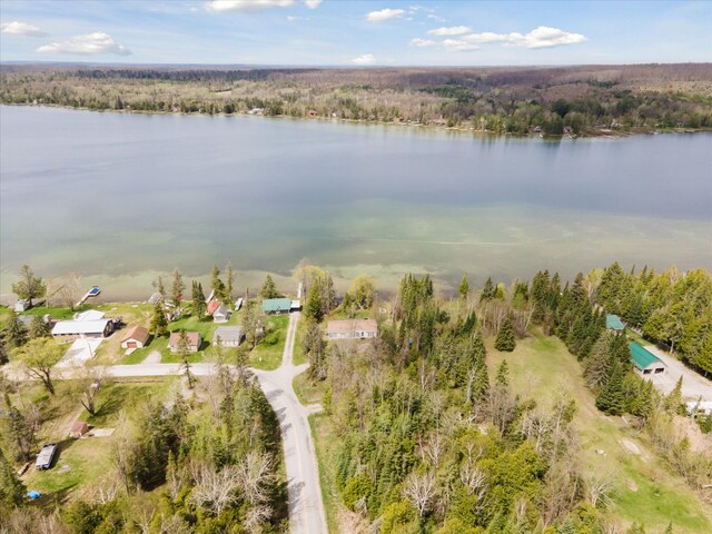 9168 Clewley Rd, Lachine, MI 49753 - aerial view of property and surrounding area with a large body of water and a heavily wooded area