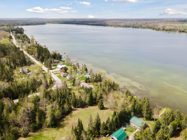 9168 Clewley Rd, Lachine, MI 49753 - aerial view of a large body of water and a heavily wooded area