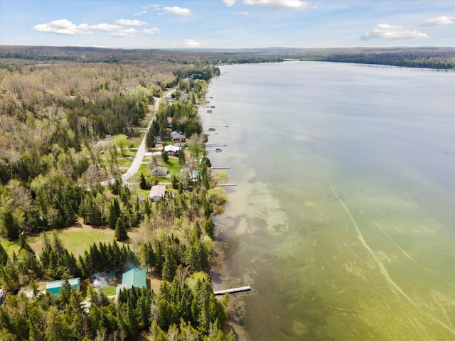 9168 Clewley Rd, Lachine, MI 49753 - drone / aerial view of a forest and a large body of water