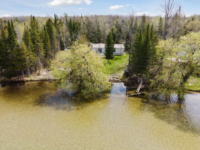 9168 Clewley Rd, Lachine, MI 49753 - water view featuring a forest