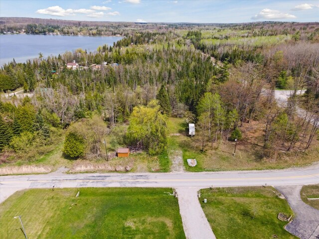 9168 Clewley Rd, Lachine, MI 49753 - bird's eye view of a large body of water and a forest