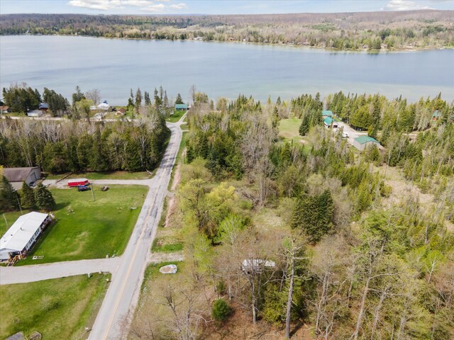 9168 Clewley Rd, Lachine, MI 49753 - aerial view of a nearby body of water and a heavily wooded area