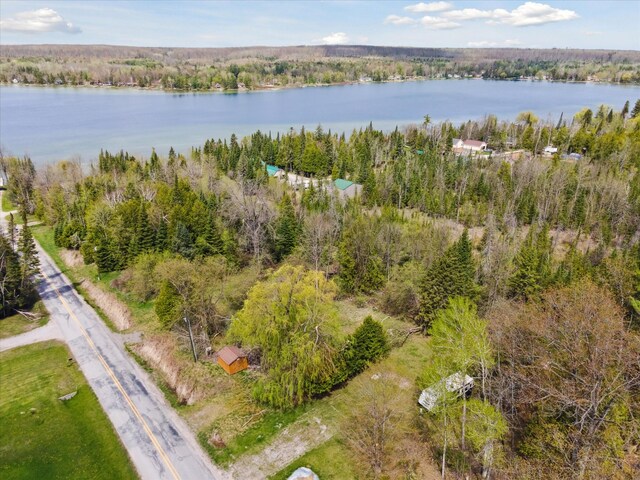 9168 Clewley Rd, Lachine, MI 49753 - aerial view of a nearby body of water and a forest