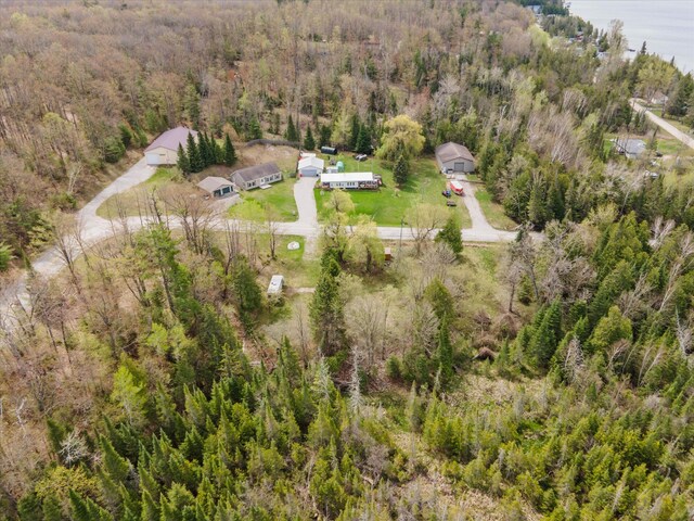 9168 Clewley Rd, Lachine, MI 49753 - bird's eye view of a heavily wooded area