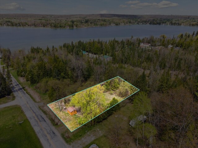 9168 Clewley Rd, Lachine, MI 49753 - aerial overview of property's location featuring a large body of water and property boundaries highlighted