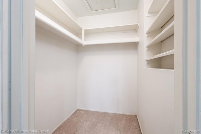 340 Concord, Bloomfield Hills, MI 48304 - spacious closet featuring carpet floors