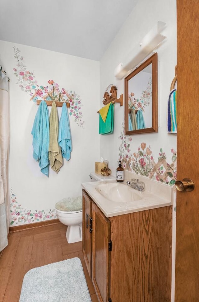 65805 S St, Cassopolis, MI 49031 - bathroom featuring vanity, toilet, and wood finished floors