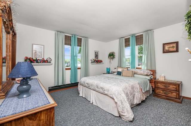 65805 S St, Cassopolis, MI 49031 - bedroom featuring multiple windows and carpet