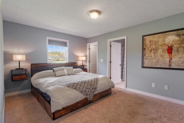 24346 Vargas Dr, Mattawan, MI 49071 - bedroom with carpet floors, baseboards, and a textured ceiling