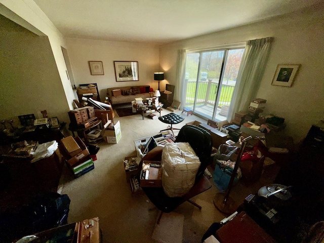 1233 Island Dr Unit 203, Ann Arbor, MI 48105 - view of carpeted living room