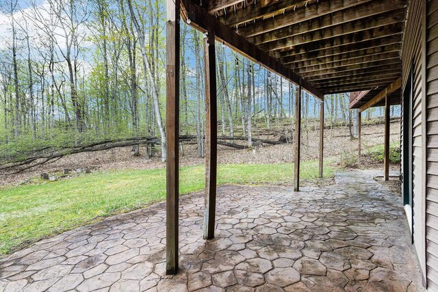 5301 Durga Rd, Williamsburg, MI 49690 - view of patio