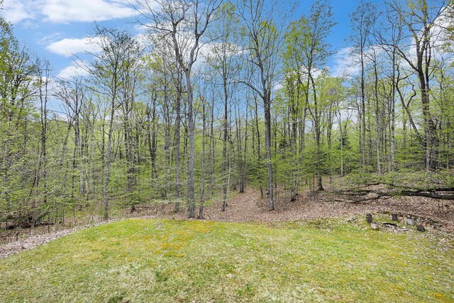 5301 Durga Rd, Williamsburg, MI 49690 - view of grassy yard
