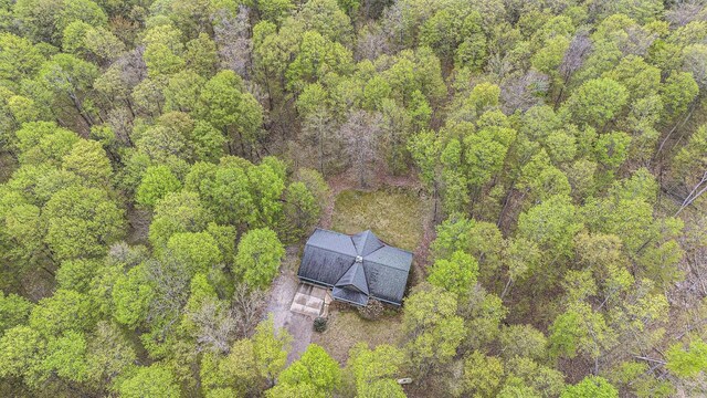 5301 Durga Rd, Williamsburg, MI 49690 - view from above of property with a forest