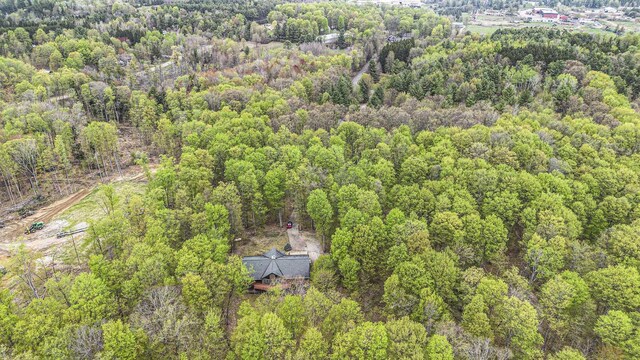 5301 Durga Rd, Williamsburg, MI 49690 - bird's eye view of a heavily wooded area