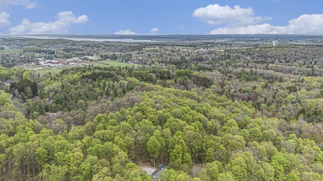 5301 Durga Rd, Williamsburg, MI 49690 - aerial view of property and surrounding area with a forest