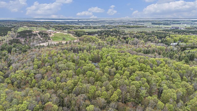 5301 Durga Rd, Williamsburg, MI 49690 - view of property location featuring a forest