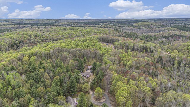 5301 Durga Rd, Williamsburg, MI 49690 - aerial view of property's location featuring a heavily wooded area