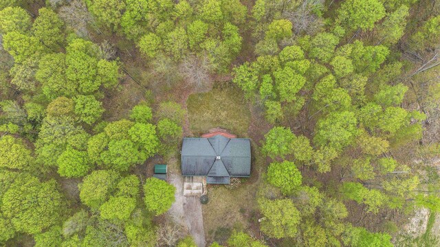 5301 Durga Rd, Williamsburg, MI 49690 - aerial view of property and surrounding area
