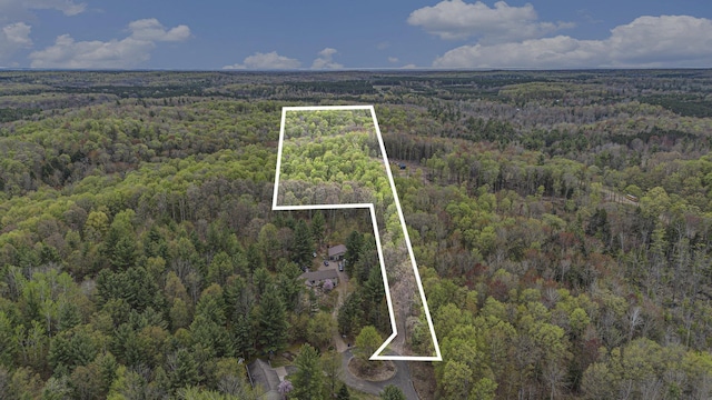 5301 Durga Rd, Williamsburg, MI 49690 - aerial overview of property's location featuring a forest and property parcel outlined