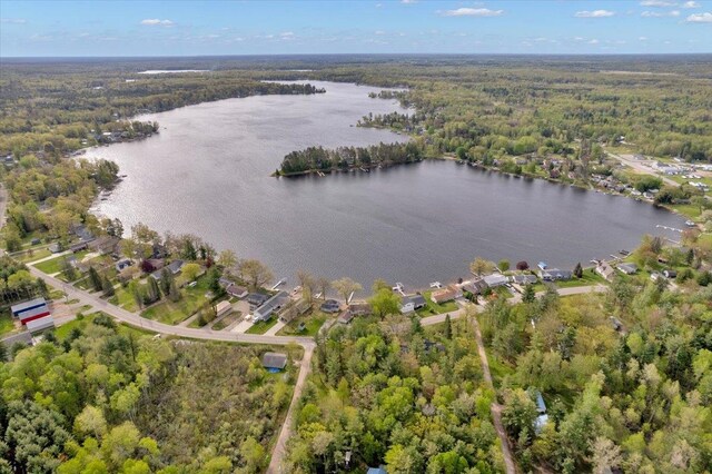 8657 Kokosing Rd, Hale, MI 48739