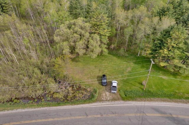 8657 Kokosing Rd, Hale, MI 48739