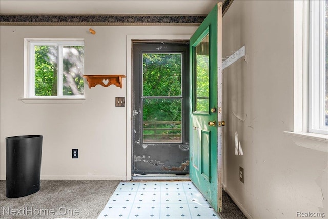 7469 Longworth Dr, Brighton, MI 48116 - doorway to outside featuring healthy amount of natural light