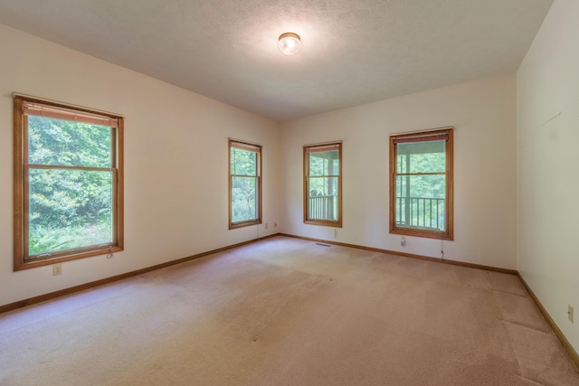 10109 Lauer Rd, Baroda, MI 49101 - unfurnished room featuring light carpet and baseboards