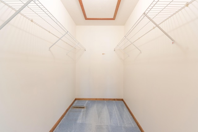10109 Lauer Rd, Baroda, MI 49101 - walk in closet with carpet