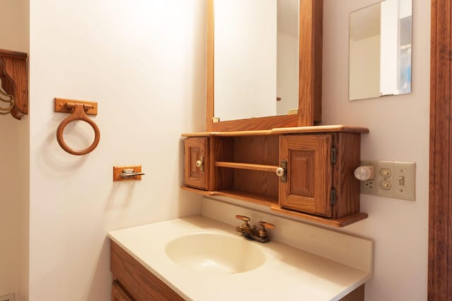 10109 Lauer Rd, Baroda, MI 49101 - bathroom featuring vanity