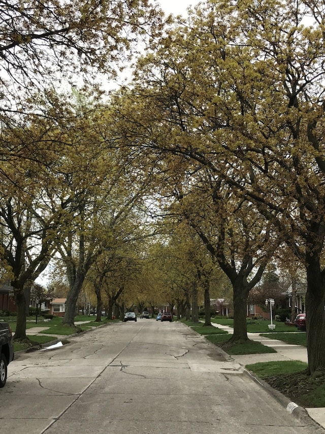 4139 Yorba Linda Blvd, Royal Oak, MI 48073 - view of concrete road with curbs and sidewalks