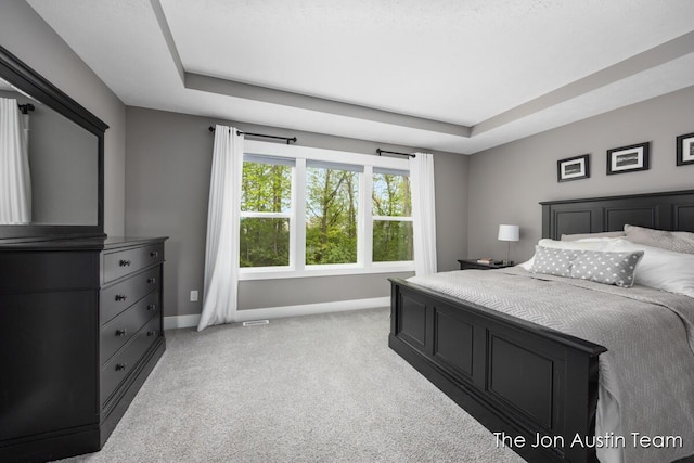 9012 N Wolven Ridge Ct, Rockford, MI 49341 - bedroom featuring baseboards, light colored carpet, and a tray ceiling