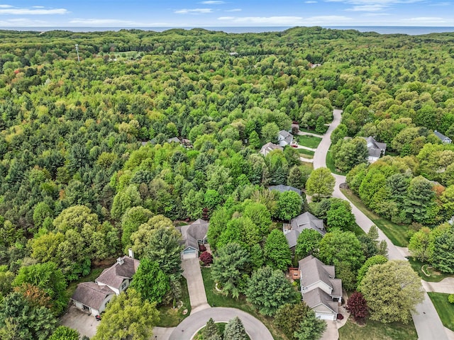 6371 Colorado Ct, Norton Shores, MI 49441 - bird's eye view of a forest