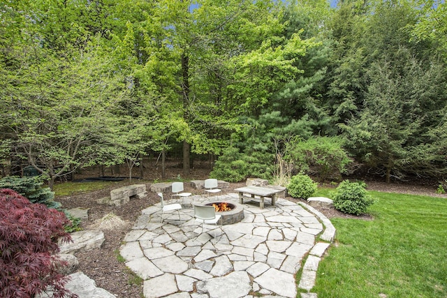 6371 Colorado Ct, Norton Shores, MI 49441 - view of green lawn with a patio and a fire pit