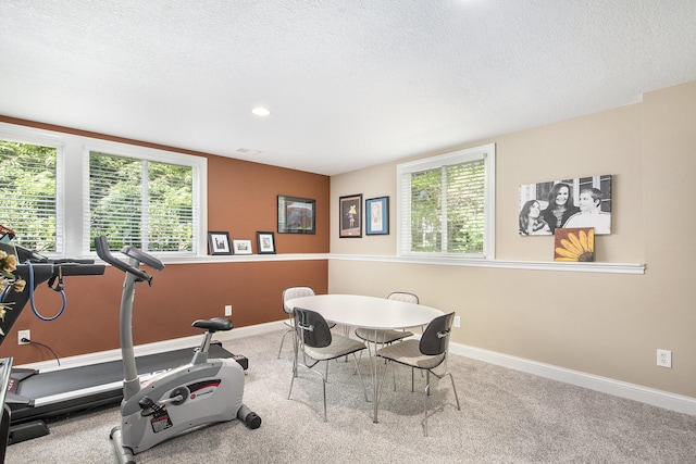 6371 Colorado Ct, Norton Shores, MI 49441 - exercise room with plenty of natural light, a textured ceiling, baseboards, recessed lighting, and carpet