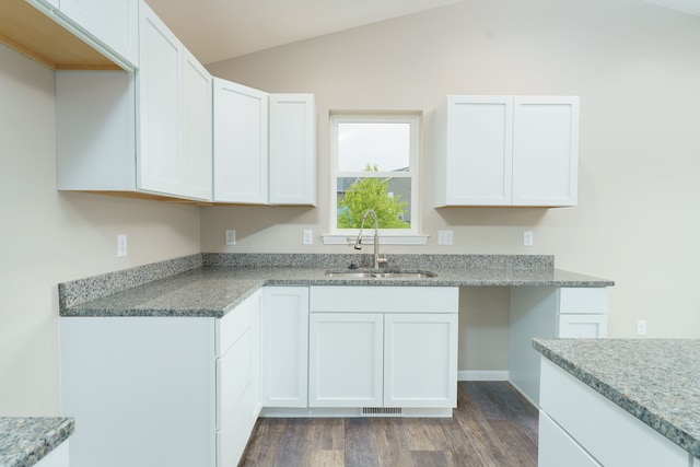 9674 Iosco Ridge Dr, Gregory, MI 48137 - kitchen featuring a sink, dark wood-style flooring, vaulted ceiling, white cabinets, and light stone counters