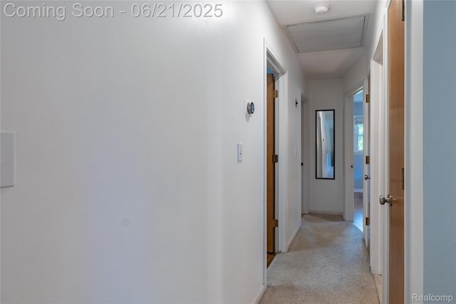 31894 Merton Dr, Farmington Hills, MI 48334 - photo 20