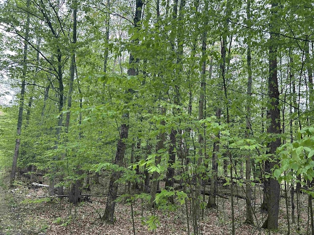 LOT68 Legend Trl, Bellaire, MI 49615