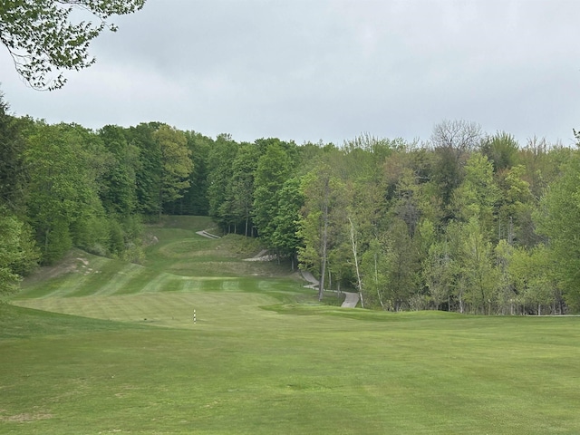 LOT68 Legend Trl, Bellaire, MI 49615