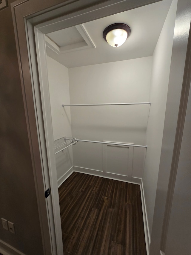 20223 32 Mile Rd, Armada, MI 48005 - walk in closet with dark wood-style flooring
