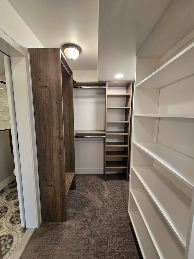 20223 32 Mile Rd, Armada, MI 48005 - walk in closet featuring dark carpet