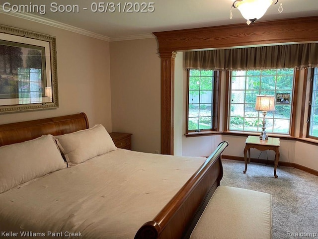 8241 Fountain View Dr, Flushing, MI 48433 - carpeted bedroom with multiple windows, baseboards, and ornamental molding