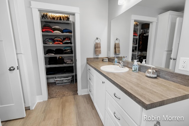 11648 Everette Ave, Allendale, MI 49401 - bathroom featuring vanity, wood finished floors, and a spacious closet