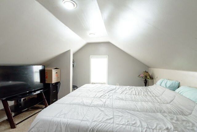 24690 Annapolis St, Dearborn Heights, MI 48125 - bedroom featuring lofted ceiling and carpet