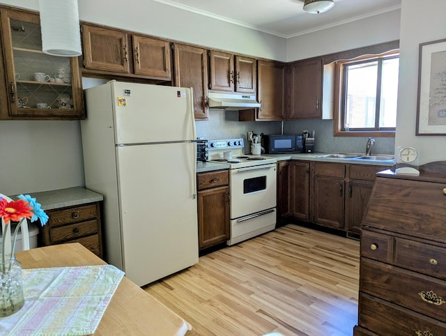 19 Old Mill Dr Unit 12, Holland, MI 49423 - kitchen with white appliances, a sink, under cabinet range hood, light wood-type flooring, and crown molding