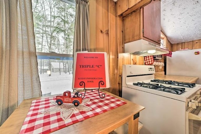 4290 Clark St, Lewiston, MI 49756 - kitchen with gas range gas stove, under cabinet range hood, and brown cabinetry